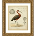 thumbnail image 1 of Vision Studio 20x24 Gold Ornate Wood Framed with Double Matting Museum Art Print Titled - Heron Anthology II, 1 of 4