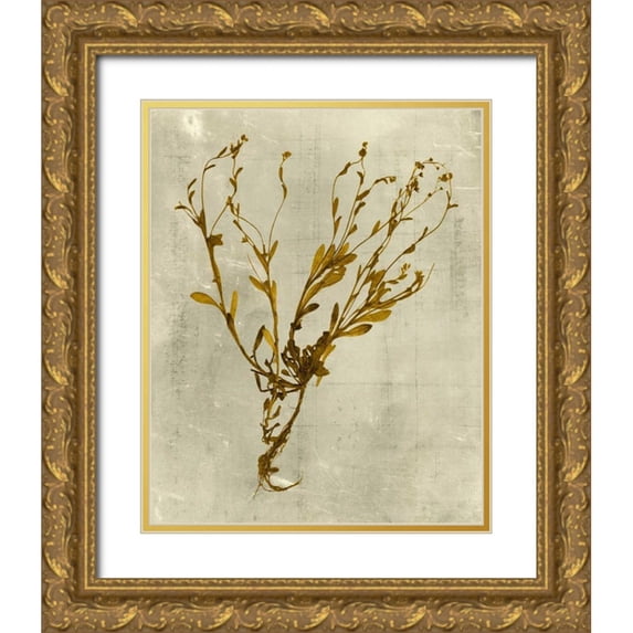 Vision Studio 20x24 Gold Ornate Wood Framed with Double Matting Museum Art Print Titled - Impressions in Mustard