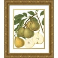 thumbnail image 1 of Vision Studio 20x24 Gold Ornate Wood Framed with Double Matting Museum Art Print Titled - Pear Varieties II, 1 of 4