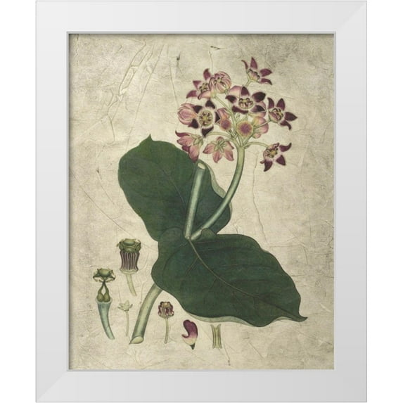 Vision Studio 20x24 White Modern Wood Framed Museum Art Print Titled - Aubergine Florals III