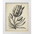 thumbnail image 1 of Vision Studio 20x24 White Modern Wood Framed Museum Art Print Titled - Distinguished Floral I, 1 of 4