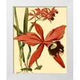 thumbnail image 1 of Vision Studio 20x24 White Modern Wood Framed Museum Art Print Titled - Mini Orchid Splendor III, 1 of 4