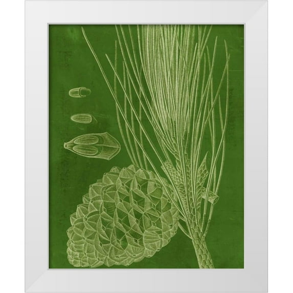 Vision Studio 20x24 White Modern Wood Framed Museum Art Print Titled - Modern Pine I