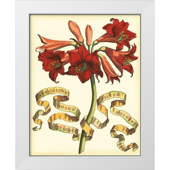 Vision Studio 20x24 White Modern Wood Framed Museum Art Print Titled - Ribbon Florals II