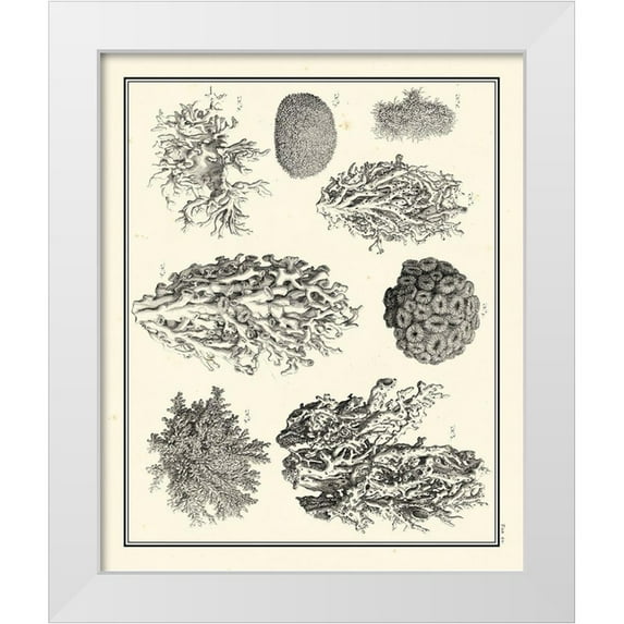 Vision Studio 20x24 White Modern Wood Framed Museum Art Print Titled - Small Aegean Collection IV