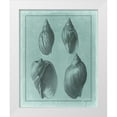 thumbnail image 1 of Vision Studio 20x24 White Modern Wood Framed Museum Art Print Titled - Spa Shell Collection III, 1 of 4