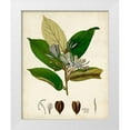 thumbnail image 1 of Vision Studio 20x24 White Modern Wood Framed Museum Art Print Titled - Verdant Foliage IV, 1 of 4