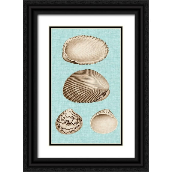 Vision Studio 21x32 Black Ornate Wood Framed with Double Matting Museum Art Print Titled - Sepia And Aqua Shells VIII