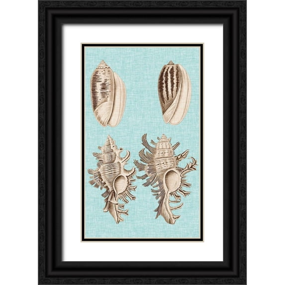 Vision Studio 21x32 Black Ornate Wood Framed with Double Matting Museum Art Print Titled - Sepia And Aqua Shells VII