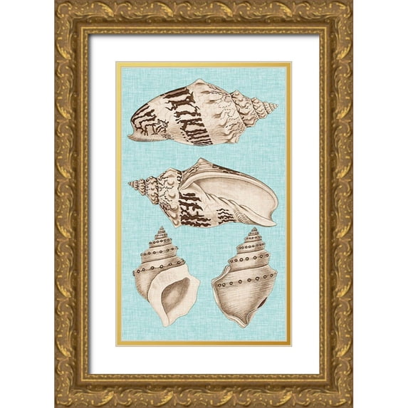 Vision Studio 21x32 Gold Ornate Wood Framed with Double Matting Museum Art Print Titled - Sepia And Aqua Shells IV