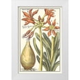 thumbnail image 1 of Vision Studio 22x32 White Modern Wood Framed Museum Art Print Titled - Botanical Beauty III, 1 of 4