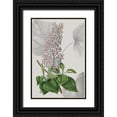 thumbnail image 1 of Vision Studio 23x32 Black Ornate Wood Framed with Double Matting Museum Art Print Titled - Botanical Arrangement IV, 1 of 4