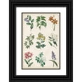 thumbnail image 1 of Vision Studio 23x32 Black Ornate Wood Framed with Double Matting Museum Art Print Titled - Botanical Chart I, 1 of 4