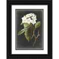 thumbnail image 1 of Vision Studio  23x32 Black Ornate Wood Framed with Double Matting Museum Art Print Titled - Dramatic White Flowers I, 1 of 4