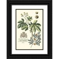 thumbnail image 1 of Vision Studio 23x32 Black Ornate Wood Framed with Double Matting Museum Art Print Titled - Imperial Foliage I, 1 of 4
