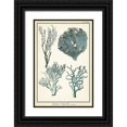 thumbnail image 1 of Vision Studio 23x32 Black Ornate Wood Framed with Double Matting Museum Art Print Titled - Oversize Coral Species II, 1 of 4