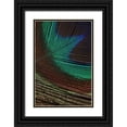 thumbnail image 1 of Vision Studio 23x32 Black Ornate Wood Framed with Double Matting Museum Art Print Titled - Peacock Feathers I, 1 of 4