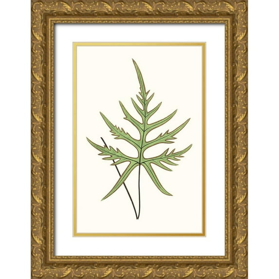 Vision Studio 23x32 Gold Ornate Wood Framed with Double Matting Museum Art Print Titled - Collected Leaves VIII