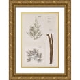thumbnail image 1 of Vision Studio 23x32 Gold Ornate Wood Framed with Double Matting Museum Art Print Titled - Coral Collage IX, 1 of 4