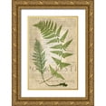 thumbnail image 1 of Vision Studio 23x32 Gold Ornate Wood Framed with Double Matting Museum Art Print Titled - Fern Folio IV, 1 of 4
