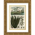 thumbnail image 1 of Vision Studio 23x32 Gold Ornate Wood Framed with Double Matting Museum Art Print Titled - Journal of the Tropics III, 1 of 4