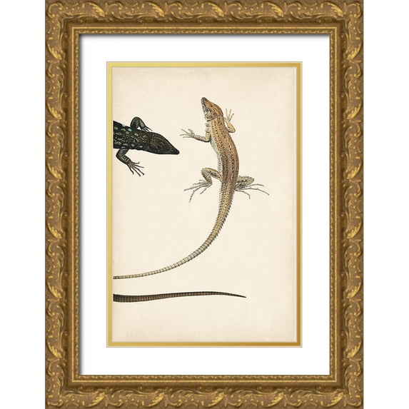 Vision Studio 23x32 Gold Ornate Wood Framed with Double Matting Museum Art Print Titled - Lizard Diptych II