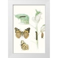 thumbnail image 1 of Vision Studio  23x32 White Modern Wood Framed Museum Art Print Titled - Antique Butterflies and Leaves III, 1 of 4