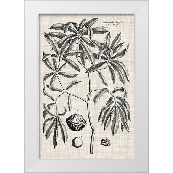 Vision Studio 23x32 White Modern Wood Framed Museum Art Print Titled - Custom Black And Oatmeal Linen Botanical V
