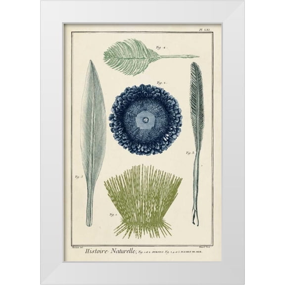 Vision Studio 23x32 White Modern Wood Framed Museum Art Print Titled - Ocean Oddity II