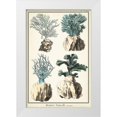 thumbnail image 1 of Vision Studio 23x32 White Modern Wood Framed Museum Art Print Titled - Oversize Coral Species III, 1 of 4
