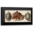 thumbnail image 1 of Vision Studio 24x13 Black Modern Framed Museum Art Print Titled - Shell Trio II, 1 of 5