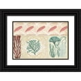 thumbnail image 1 of Vision Studio 24x17 Black Ornate Wood Framed with Double Matting Museum Art Print Titled - Coastal Patternbook IV, 1 of 4