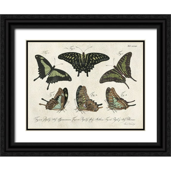 Vision Studio 24x19 Black Ornate Wood Framed with Double Matting Museum Art Print Titled - Crackled Butterflies II