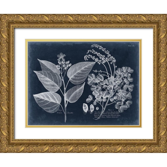 Vision Studio 24x19 Gold Ornate Wood Framed with Double Matting Museum Art Print Titled - Foliage on Navy III