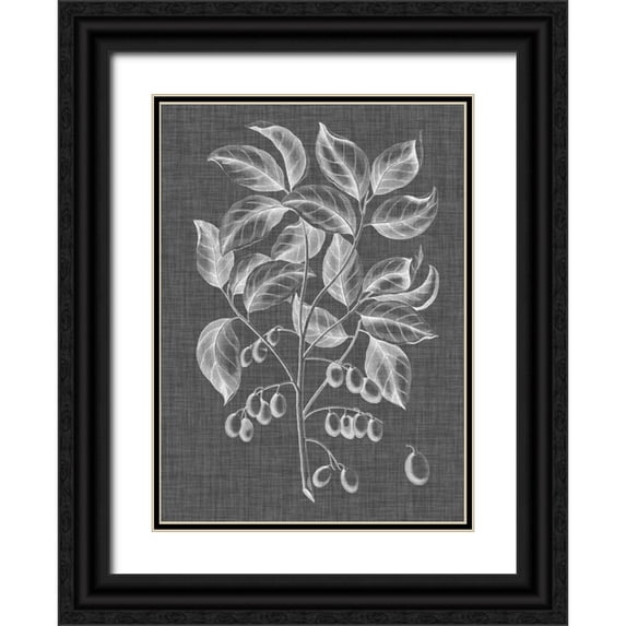 Vision Studio 24x32 Black Ornate Wood Framed with Double Matting Museum Art Print Titled - Graphic Foliage V