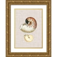 thumbnail image 1 of Vision Studio 24x32 Gold Ornate Wood Framed with Double Matting Museum Art Print Titled - Antique Shells on Linen VII, 1 of 4