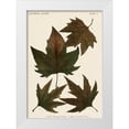 thumbnail image 1 of Vision Studio 24x32 White Modern Wood Framed Museum Art Print Titled - Autumnal Leaves IV, 1 of 4