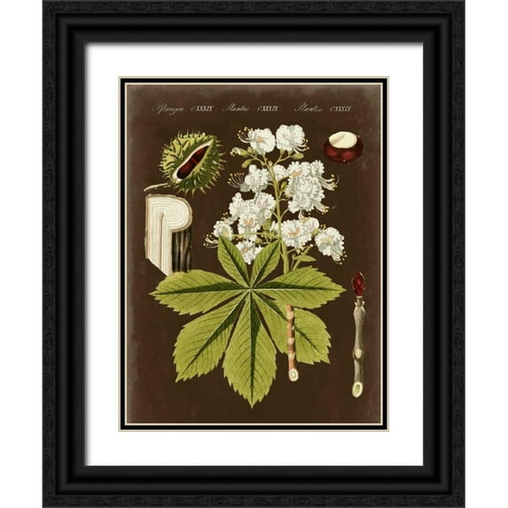 Vision Studio 25x32 Black Ornate Wood Framed with Double Matting Museum Art Print Titled - Chestnut on Suede
