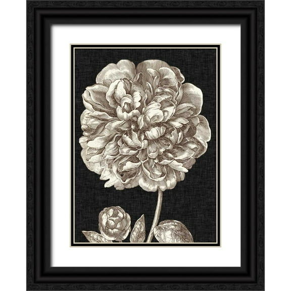 Vision Studio 25x32 Black Ornate Wood Framed with Double Matting Museum Art Print Titled - Dramatic Peony II
