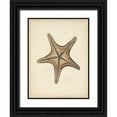 thumbnail image 1 of Vision Studio 25x32 Black Ornate Wood Framed with Double Matting Museum Art Print Titled - Sealife Collection IV, 1 of 4