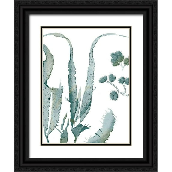 Vision Studio 25x32 Black Ornate Wood Framed with Double Matting Museum Art Print Titled - Seaside Seaweed III