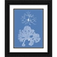 thumbnail image 1 of Vision Studio 25x32 Black Ornate Wood Framed with Double Matting Museum Art Print Titled - Seaweed Cyanotype III, 1 of 4