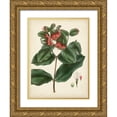 thumbnail image 1 of Vision Studio  25x32 Gold Ornate Wood Framed with Double Matting Museum Art Print Titled - Antique Foliage and Fruit IV, 1 of 4