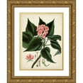 thumbnail image 1 of Vision Studio  25x32 Gold Ornate Wood Framed with Double Matting Museum Art Print Titled - Antique Foliage and Fruit V, 1 of 4