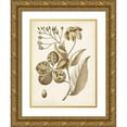 thumbnail image 1 of Vision Studio 25x32 Gold Ornate Wood Framed with Double Matting Museum Art Print Titled - Ochre Botanical II, 1 of 4