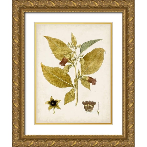Vision Studio 25x32 Gold Ornate Wood Framed with Double Matting Museum Art Print Titled - Vintage Charm VI