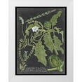 thumbnail image 1 of Vision Studio 25x32 White Modern Wood Framed Museum Art Print Titled - Dramatic Weinmann Greenery II, 1 of 4
