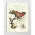 thumbnail image 1 of Vision Studio 25x32 White Modern Wood Framed Museum Art Print Titled - Regal Parrots I, 1 of 4
