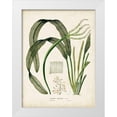 thumbnail image 1 of Vision Studio  25x32 White Modern Wood Framed Museum Art Print Titled - Small Tropical Grass I, 1 of 4