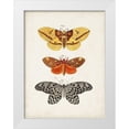 thumbnail image 1 of Vision Studio 25x32 White Modern Wood Framed Museum Art Print Titled - Vintage Butterflies IV, 1 of 4